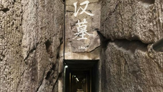 Tour di un giorno al Museo di Xuzhou + Tomba Han della Montagna della Tartaruga + Terrazza Xima + Montagna Yunlong con servizio in cinese e inglese