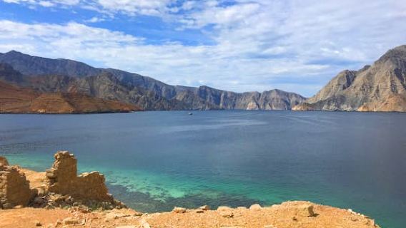 Half-day Dhow cruise in Musandam