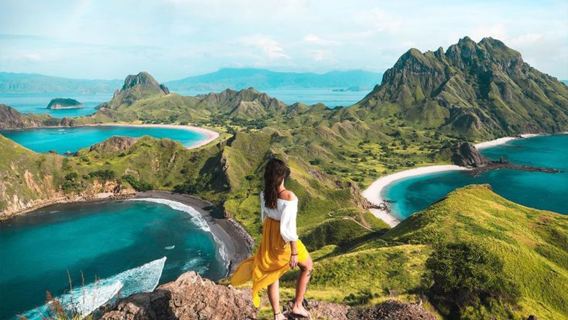 Tour to Komodo Island: Fastboat Adventure with Hotel Pickup in Labuan Bajo