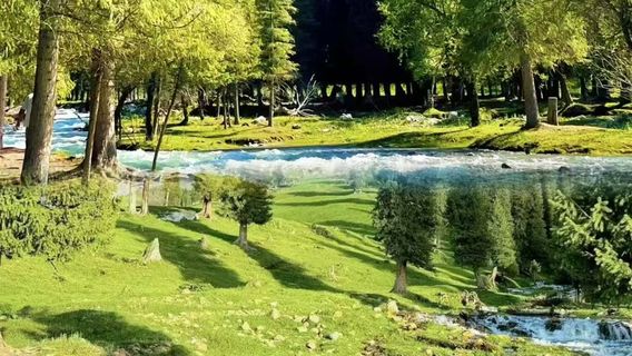 XinyuanTours