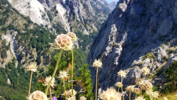 INALB 3 Day Adventure: Discover the Charm of Northern Albania Half Board