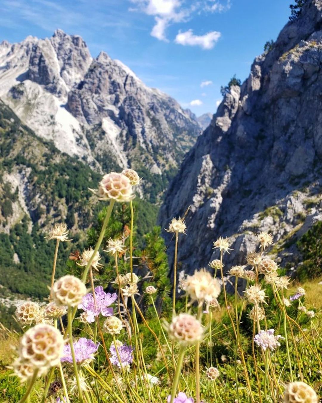 INALB 3 Day Adventure: Discover the Charm of Northern Albania Half Board