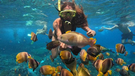 Nusa Penida: Explore and Snorkel at Manta Point, Habitat of Manta Rays with Pick up Bali