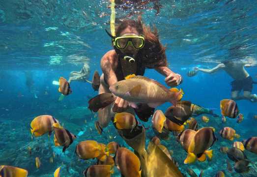 Nusa Penida: Explore and Snorkel at Manta Point, Habitat of Manta Rays with Pick up Bali