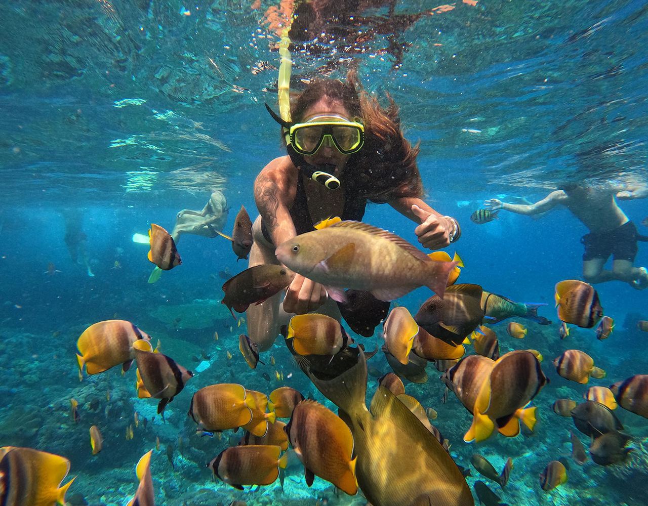 Nusa Penida: Explore and Snorkel at Manta Point, Habitat of Manta Rays with Pick up Bali