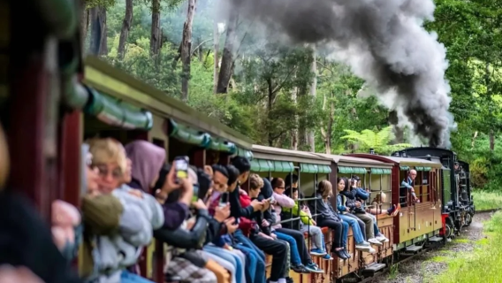 澳洲墨爾本普芬比利蒸汽火車+Penguin Parade一日遊有位可接急