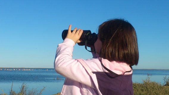 Embrace Delta Guided Tour by Car