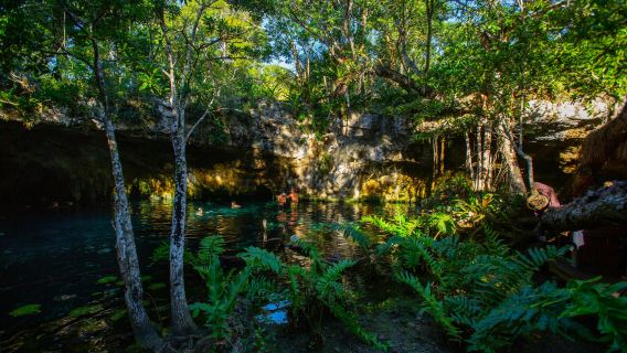 Tulum & 2 Cenotes Trail: Bike Tour + Lunch