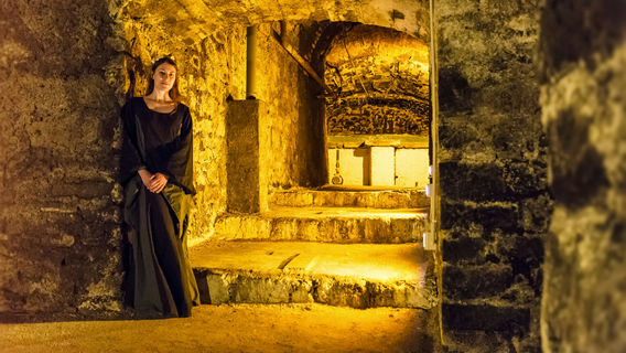 CivitavecchiaTravel Services