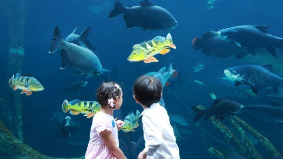 Aquaria Phuket: Entry Ticket