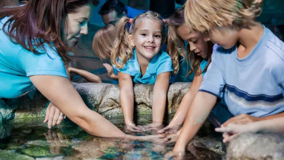 SEA LIFE Manchester: Entry Ticket