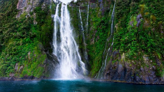 Milford Sound 1-day tour(16-person group) + 2-hour cruise+ lunch