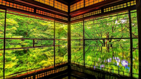日本京都妙心寺+瑠璃光院+三千院+ 貴船神社一日遊