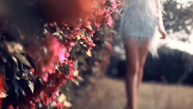 Guide for All of Yunnan|Guide] Kunming, Dali, Lijiang, Shangri-La, Xishuangbanna, Nujiang travel guide service [Chinese/English requires 3-day advance booking/certified professional guide