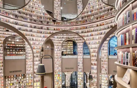 成都出發都江堰景區+熊貓谷+鍾書閣(融創茂廣場店)+自拍熊貓(帶司機租車私人旅行)