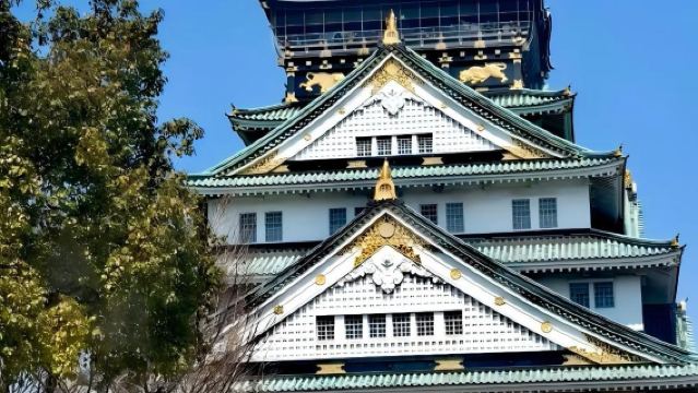 日本東京+鎌倉小町通+鶴岡八幡宮一日遊/行程可調-可定制多日