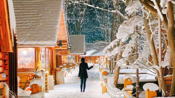 Excursion d'une journée à la terrasse des fées de la forêt d'Hokkaido, au zoo d'Asahiyama et aux chutes de Shirahige | Plongez dans un conte de fées hivernal