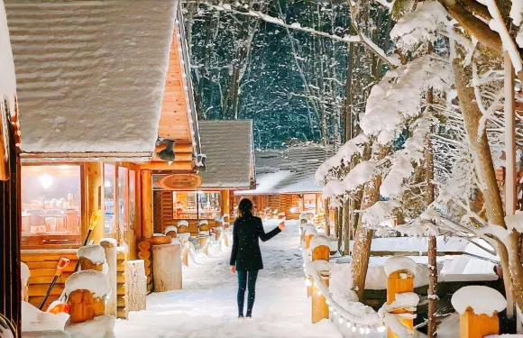 北海道精靈露台+旭川市旭山動物園+白鬚瀑布+白金青池一日遊