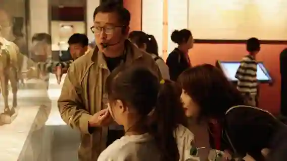 河南博物院半日精講/一日精講【含博物館入館3--6小時深度講解/專業講解帶隊】