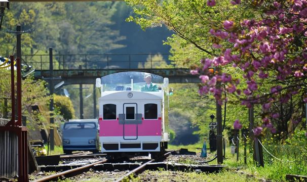 Takachiho One-Day Tour