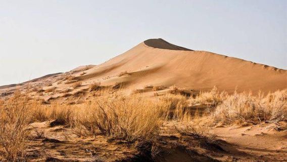 Tagestour nach Altyn-Emel: Singende Düne und Aktau-Berg