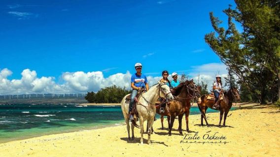 Cuộc phiêu lưu cưỡi ngựa ở Puerto Plata: Nông thôn & Bãi biển