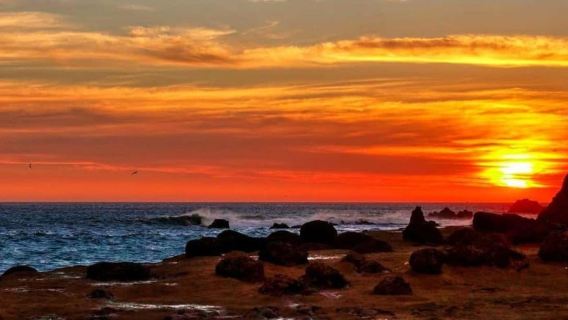 From Paracas-Sunset trekking in the Paracas National Reserve