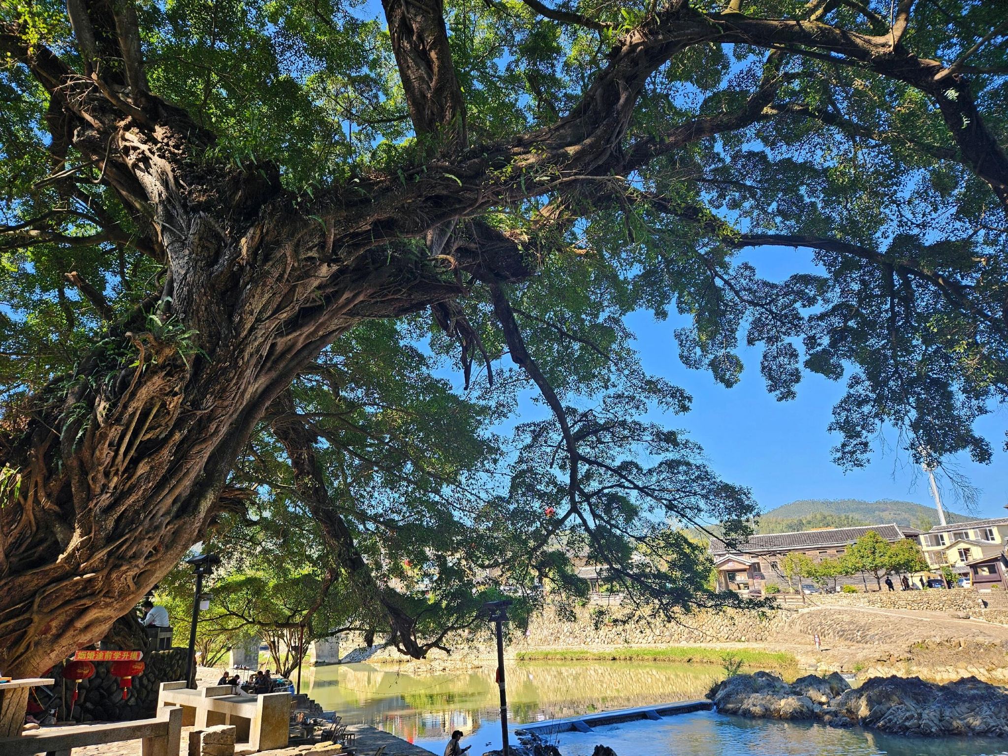 Nanjing Yunshuiyao + Yongding Tulou King private car day tour [Business car door-to-door pickup + professional driver-guide commentary + highway travel with no shopping stops]