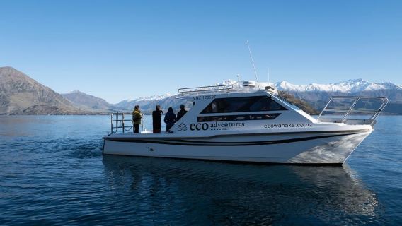 Wanaka: tour in barca e passeggiata nella natura dell'isola di Mou Waho