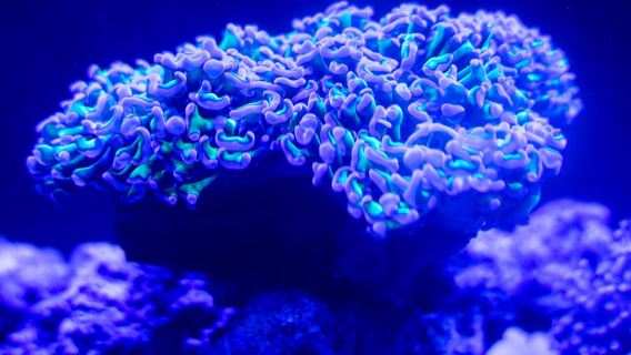 Benalmadena Aquarium Visit