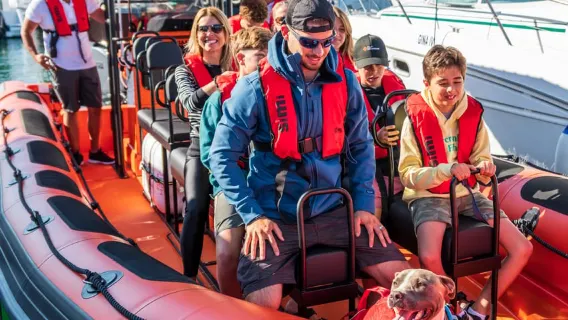 Cascais: tour per l'osservazione dei delfini