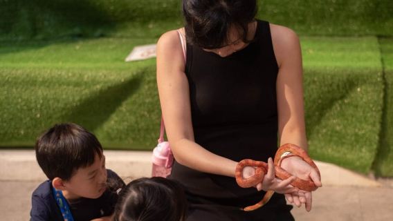 Selangor : Just Farm at Just Pets Megastore Ticket