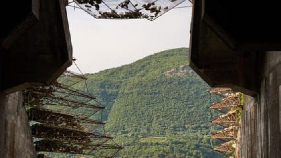 Kotor: recorrido en lancha rápida por la Cueva Azul y Nuestra Señora de la Roca