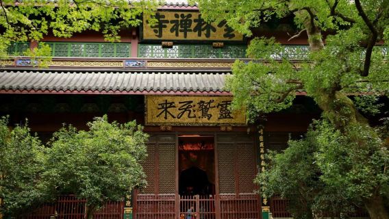 West Lake, Leifeng Pagoda, and Lingyin Temple Day Tour from Hangzhou (Chinese-Speaking Group)
