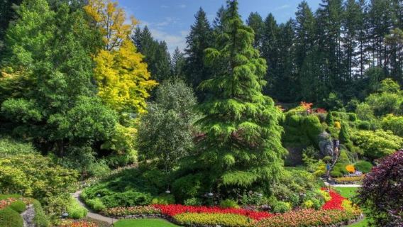 Dagsudflugt til Victoria Butchart Gardens og indre havn (inklusive BC færge + Butchart Gardens) engelsk gruppe