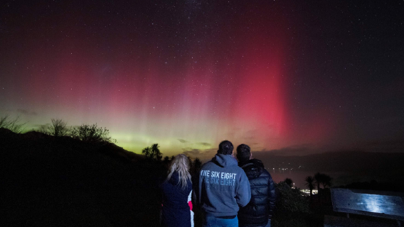 Tour di gruppo per l'osservazione delle stelle ad Akaroa