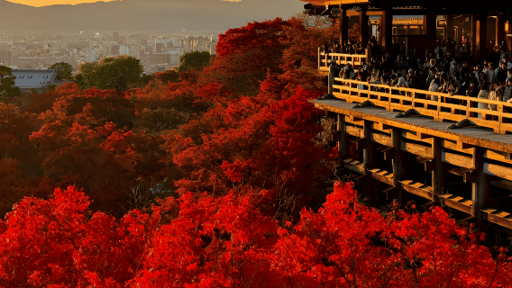 Kyoto + Nara Dual Ancient Capitals 1-day Tour: 9-Person Small Group, Optional Door-to-Door Pickup