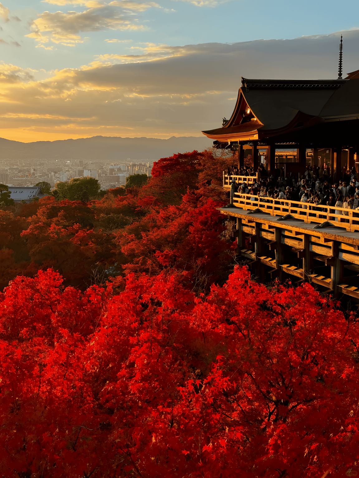 Kyoto + Nara Ancient Capitals Day Trip: 9-person group available with door-to-door service | Cute deer & Kiyomizu-dera Temple & Ninenzaka