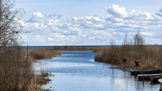 tour 1 ngày thuê xe riêng khám phá khu vườn Hoàng gia ở ngoại ô St. Petersburg, Nga