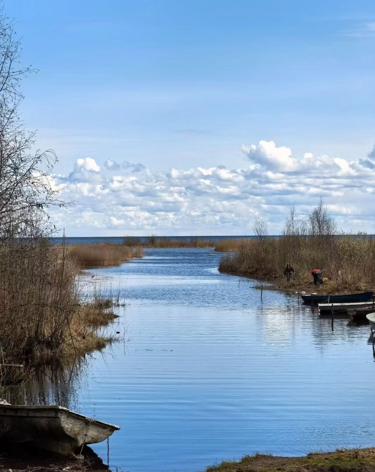 Saint Petersburg Suburbs Royal Gardens Private Charter Day Tour