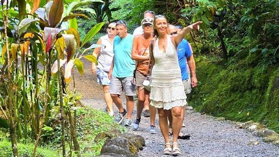 Isla privada Tahiti Circle: cascadas, arena negra y vistas panorámicas