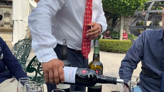 葡萄牙酒莊參觀陪同翻譯+citywalk地陪導遊+波多包車