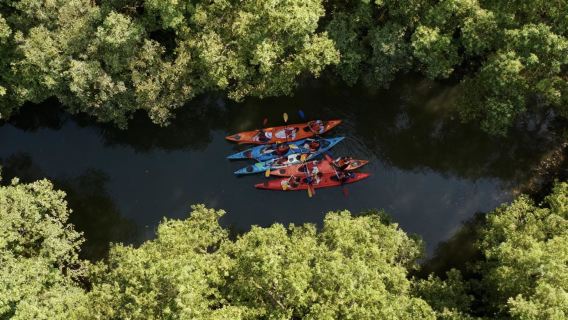 Base d'activités de plein air Kayak de Shanghai Dongbang (encadrement par des coachs professionnels + nouvelle expérience aquatique + immersion ludique)