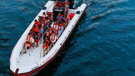 Эксклюзивная яхта: 90-минутная экскурсия на скоростном катере — Ain Dubai, Palm, Atlantis и Burj Al Arab.