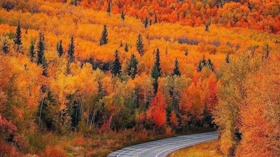 美國費爾班克斯迪納利國家公園+喬治公園公路【中文包車服務】