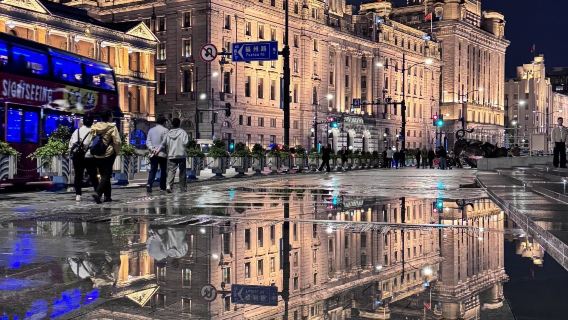 上海文藝潮玩線，上海野生動物園+武康路+安福路包車一日遊