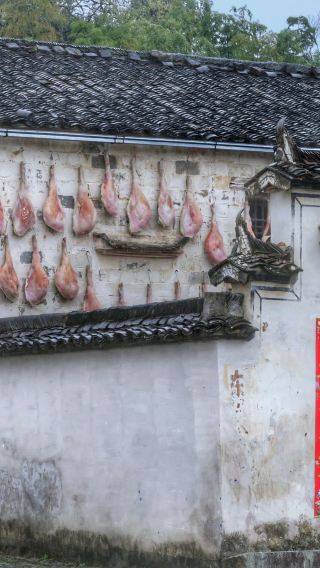 Huangshan Huizhou Ancient Villages One-Day Tour (Hongcun + Xidi)
