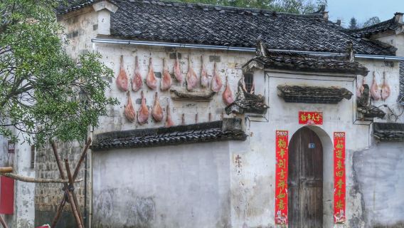 Excursión de un día a los Pueblos Antiguos de Huizhou en Huangshan (Hongcun + Xidi)