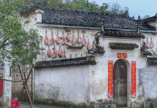 Huangshan Huizhou Ancient Villages One-Day Tour (Hongcun + Xidi)