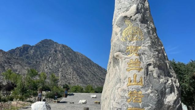Lawatan Sehari ke Makam Diraja Xia Barat + Perkhidmatan Pemandu Pelancong Profesional untuk Lukisan Batu Gunung Helan (termasuk fon telinga tanpa wayar) + Sewaan Peribadi dengan Pengangkutan